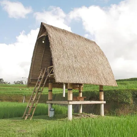 Batan Nyuh Retreat Tegallalang